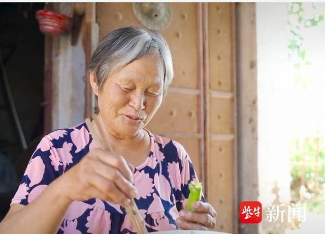 蒲扇是用什么植物做的,蒲扇是用什么植物做的.