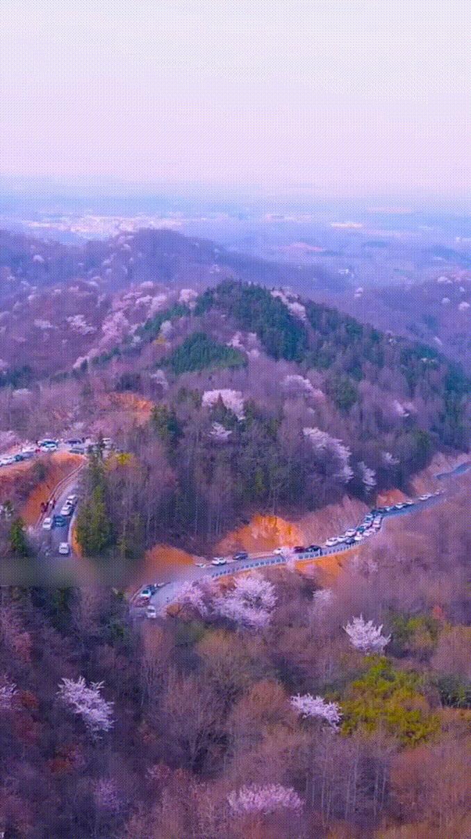 武汉周边二日游旅游最佳景点,武汉周边二日游旅游最佳景点推荐.