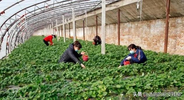 吐槽自己记性差的句子图片，吐槽自己记性差的句子图片大全？