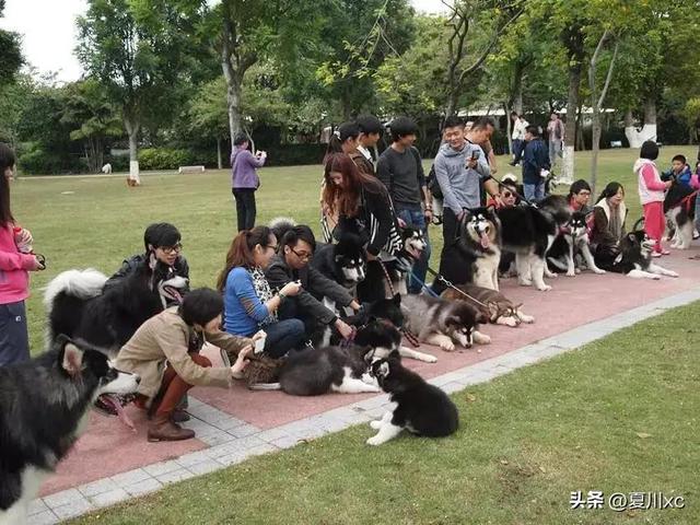 最新跑江湖暴利产品,跑江湖暴利产品批发.