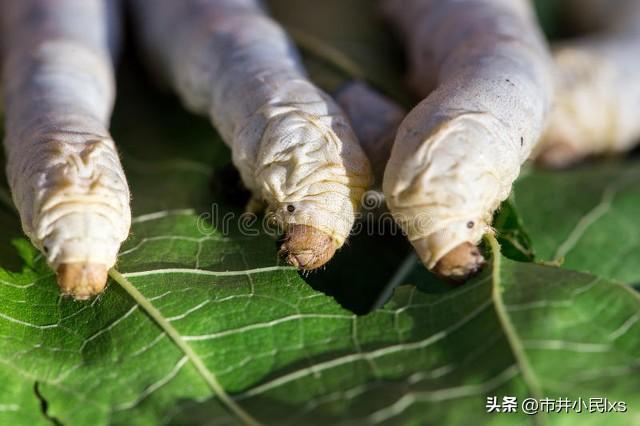 60借条一万一个月多少利息,360借条一万一个月多少利息啊."