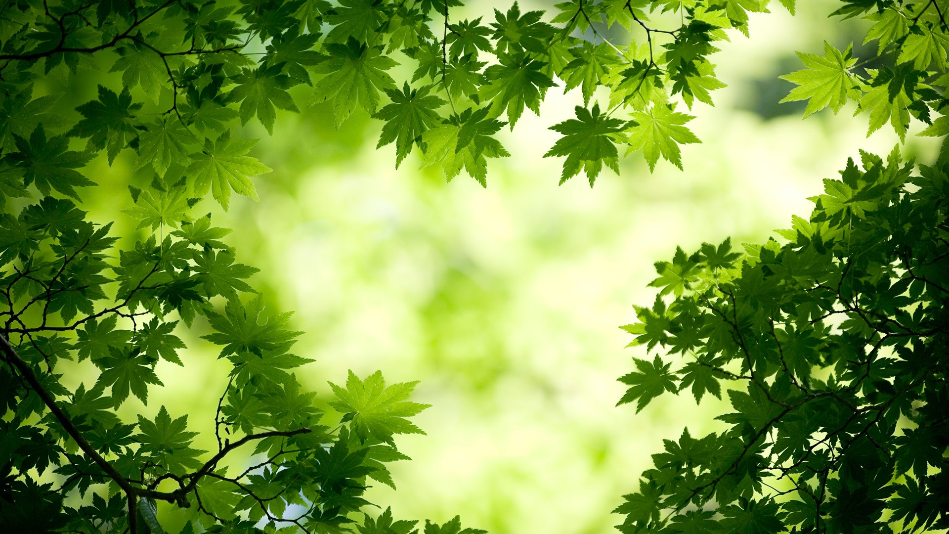 汽车营销方案范文(汽车营销方案范文模板)